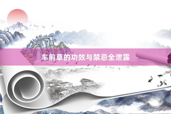 车前草的功效与禁忌全泄露